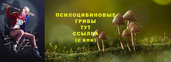 spice Абинск