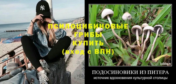 spice Абинск