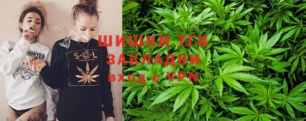 дживик Надым