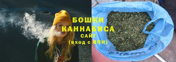 дживик Надым