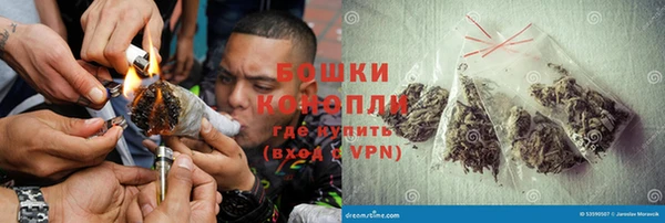дживик Надым