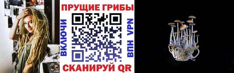 Галлюциногенные грибы Psilocybe  Поворино 